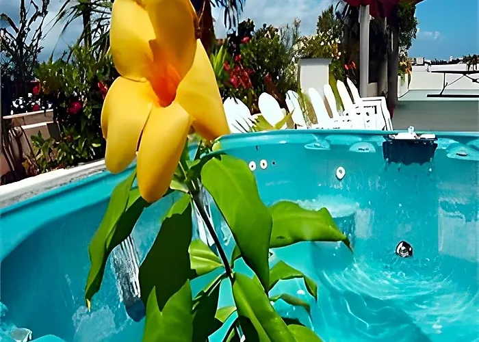 Maya Turquesa By Bfh Hotel